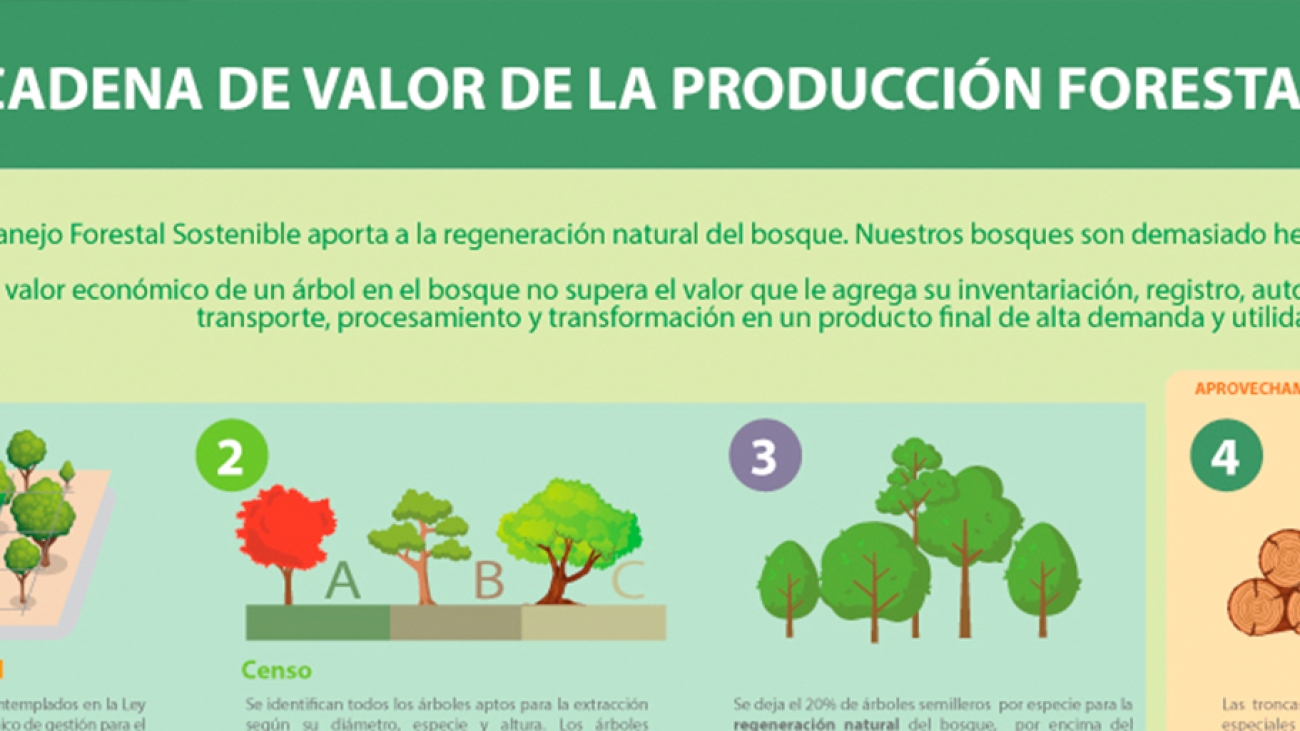cfb-manejo-forestal-destacada