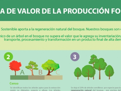 cfb-manejo-forestal-destacada