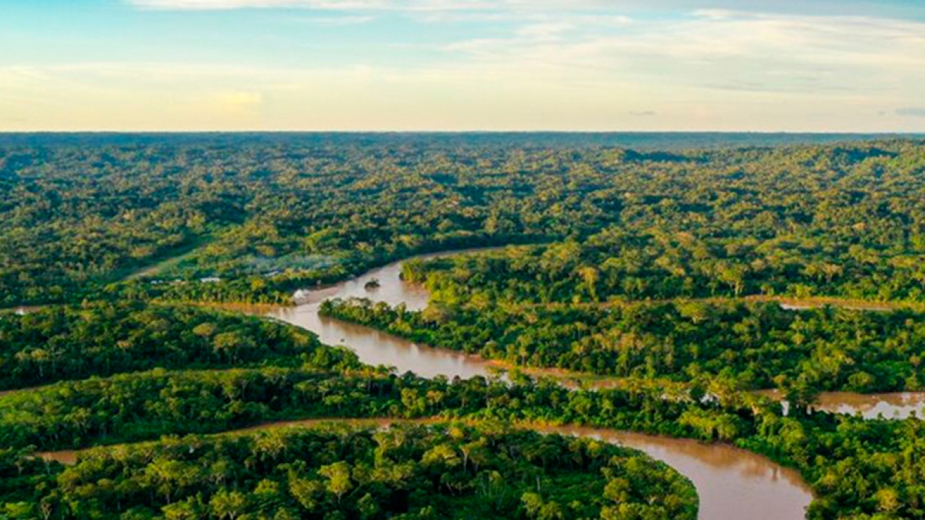 destacada-ley-forestal-bosque-tropìcal